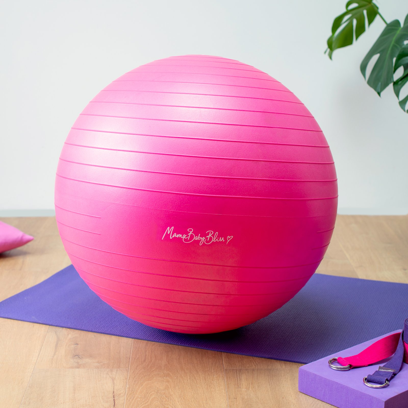 Pregnancy Exercise Ball 65cm - MamaBabyBliss